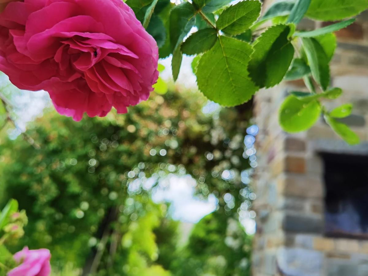 Ferienhaus Eifelrose Simmerath Bagian luar foto