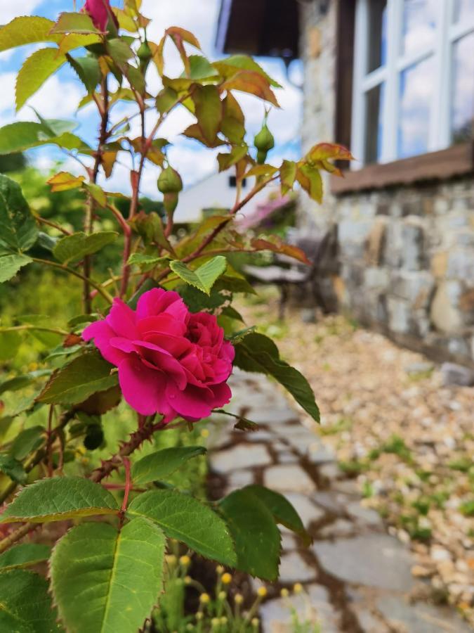 Ferienhaus Eifelrose Simmerath Bagian luar foto