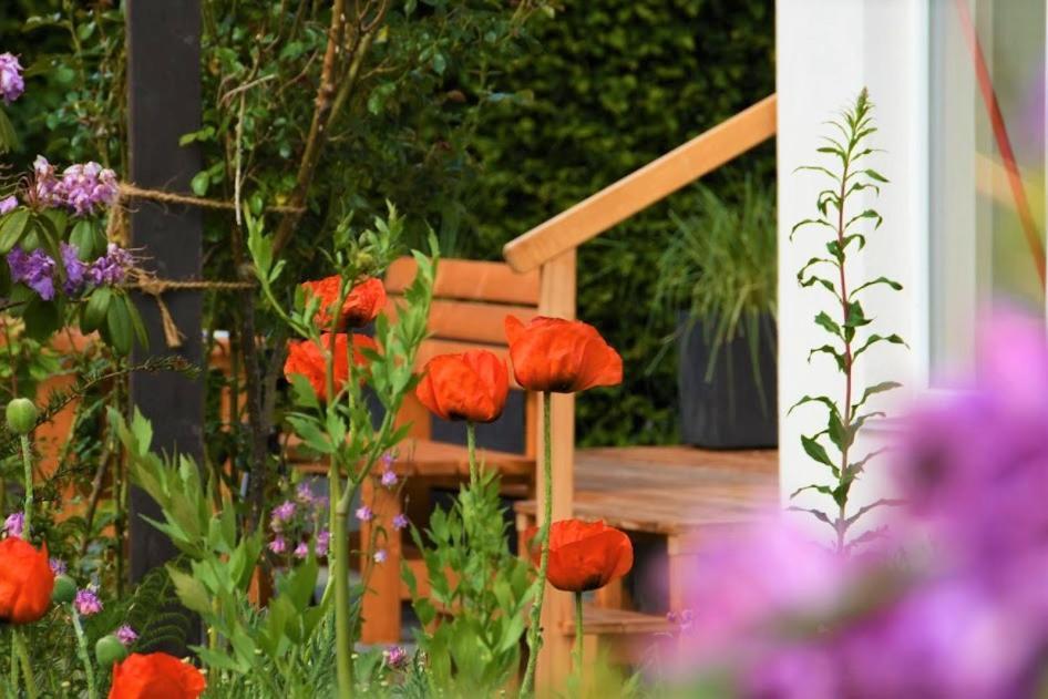 Ferienhaus Eifelrose Simmerath Bagian luar foto