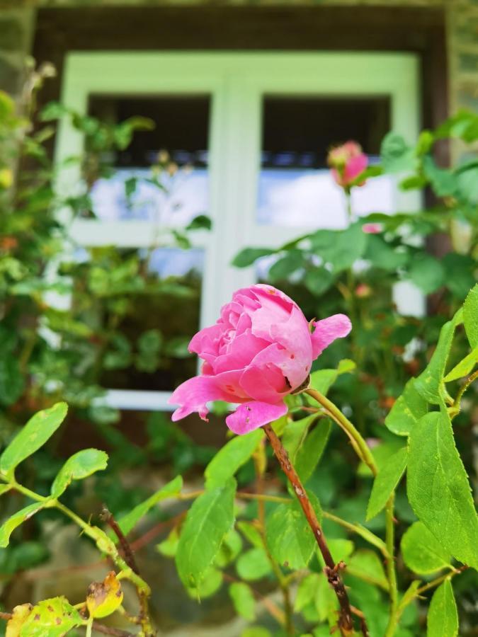 Ferienhaus Eifelrose Simmerath Bagian luar foto